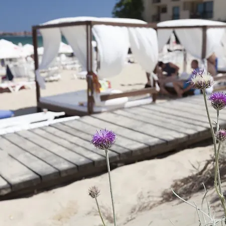 Amfora Sunny Beach